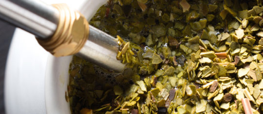 maté certifié bio
